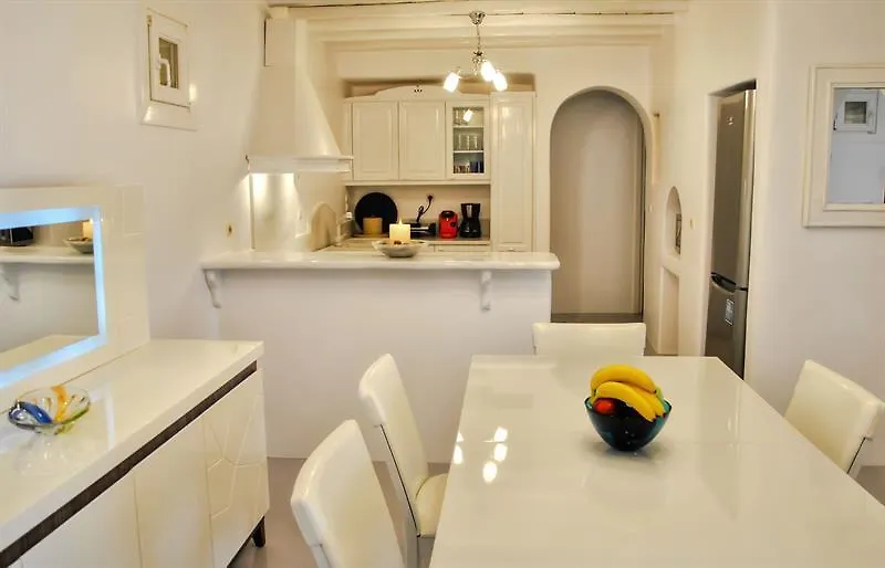 公寓 White Villa - Mykonos Greece Holidays 帕诺尔莫斯米科诺斯 希腊